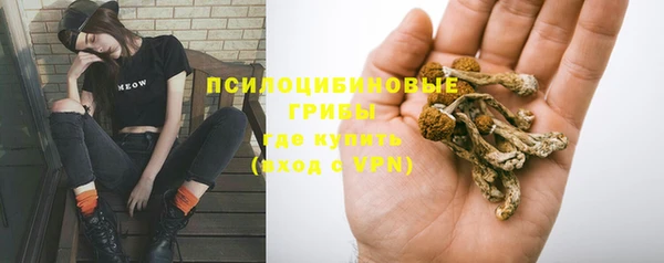 мяу мяу кристалл Лихославль