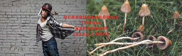 сатива Нязепетровск
