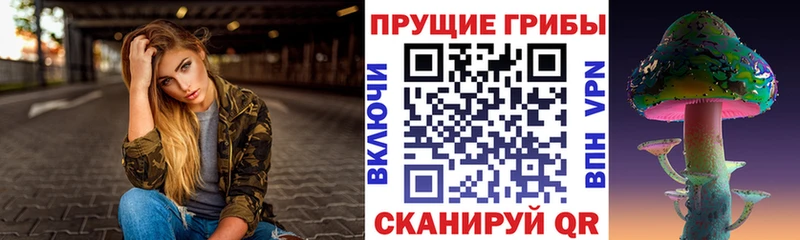 Галлюциногенные грибы ЛСД  Сясьстрой 